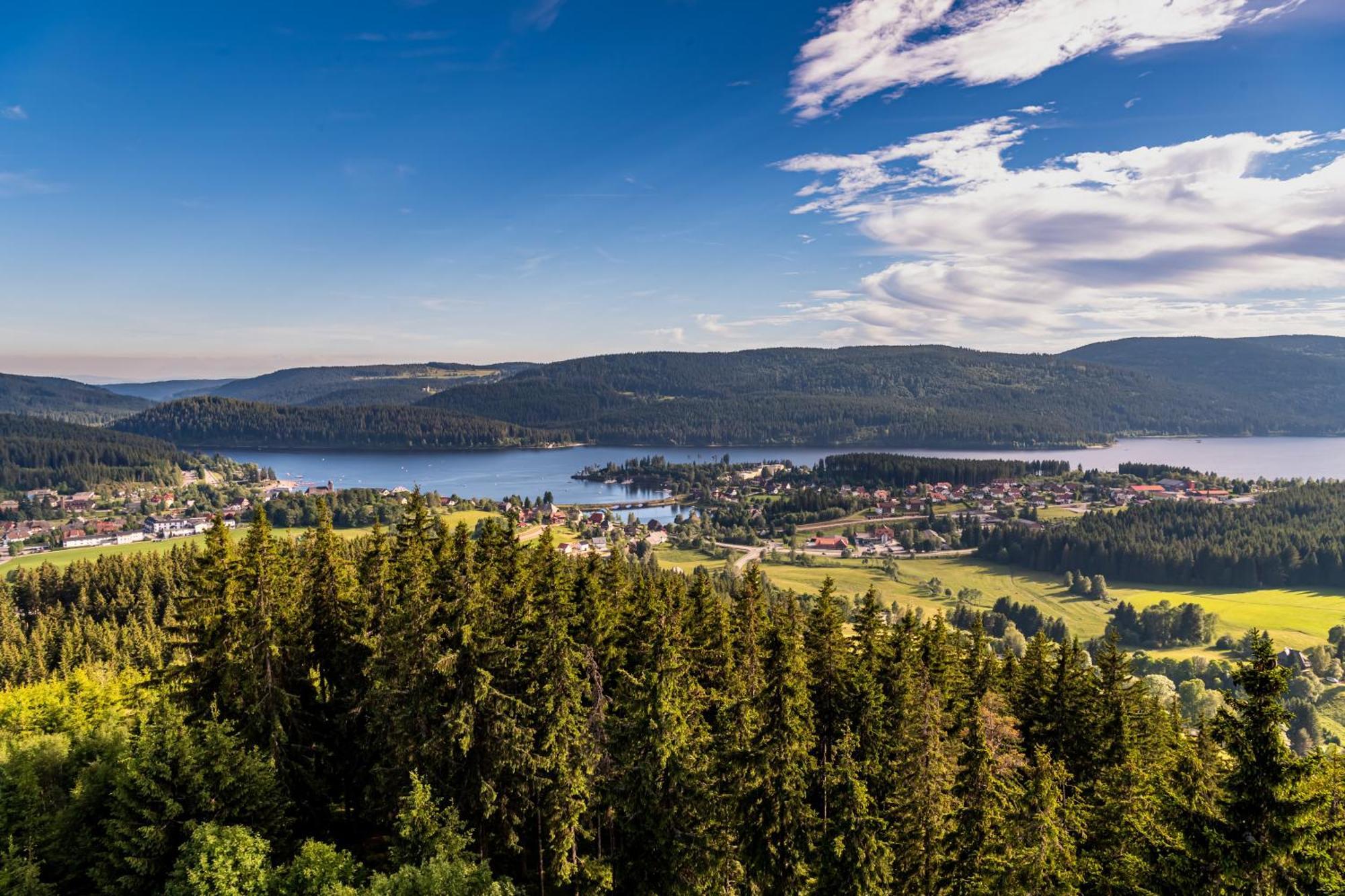 Apartment 13 - Ferienresidenz Roseneck, Mit Schwimmbad In Todtnauberg Bei Feldberg Exterior foto