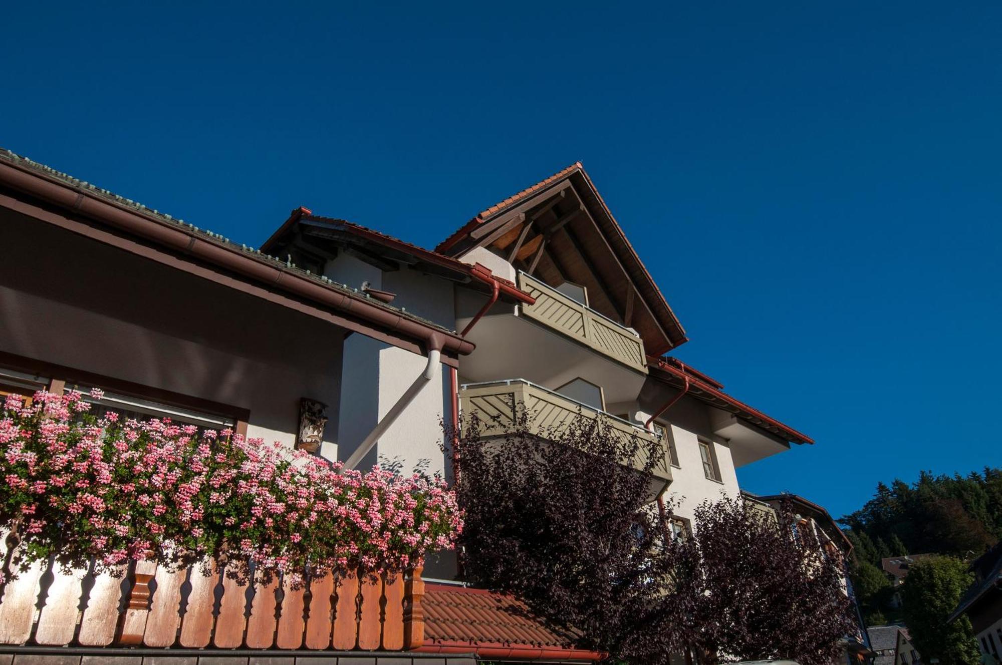 Apartment 13 - Ferienresidenz Roseneck, Mit Schwimmbad In Todtnauberg Bei Feldberg Exterior foto
